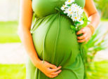 В Петербурге и Ленобласти около 8 тысяч женщин получают пособия для беременных, вставших на учет в ранние сроки